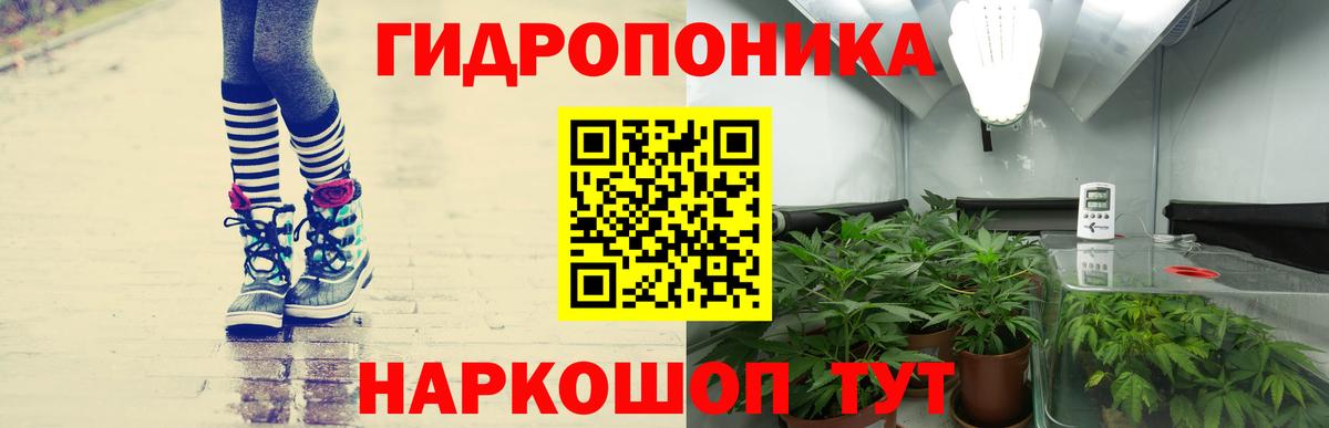 Каннабис план  Канабис план  Вход с VPN  Кыштым 